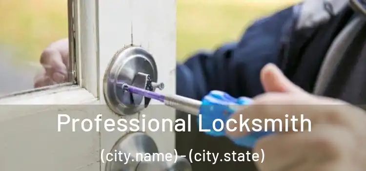  Professional Locksmith (city.name) - (city.state)